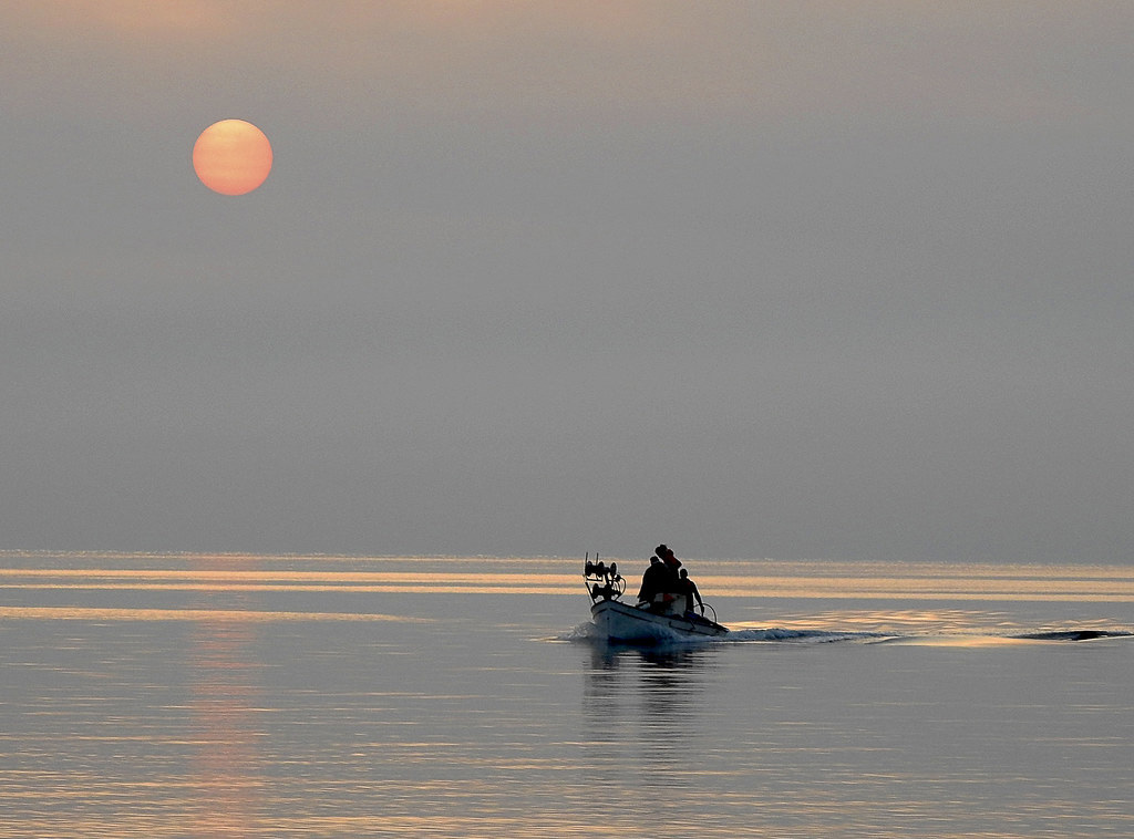 Farmers working together on a hillside during harvest