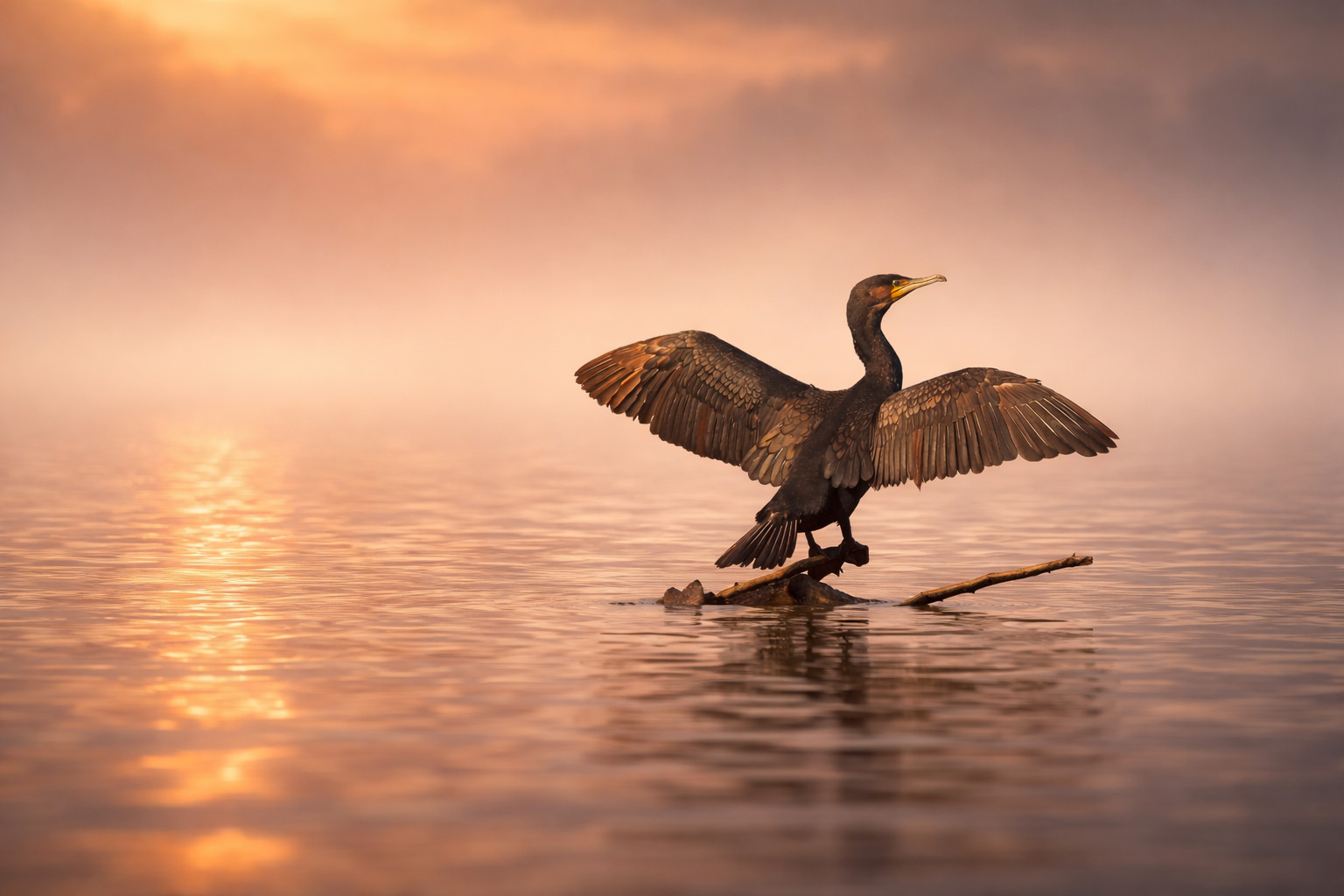Balancing on a stick
